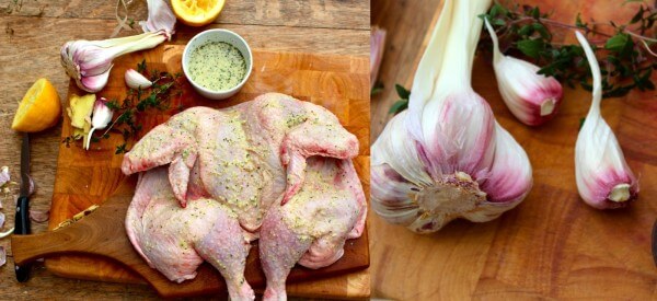 spatchcock 3