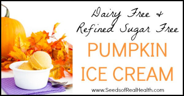 Dairy Free Pumpkin Ice Cream via Seeds of Real Health