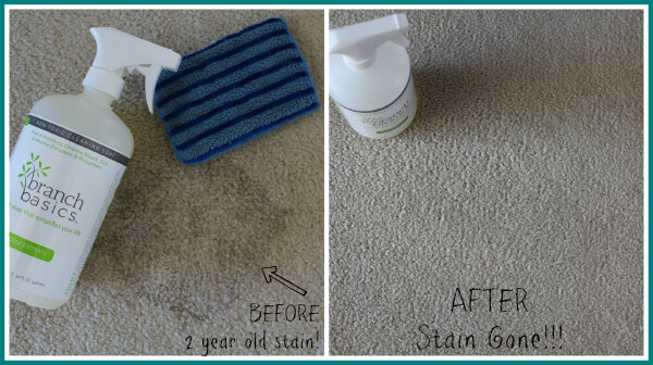 Carpet Stain with Branch Basics