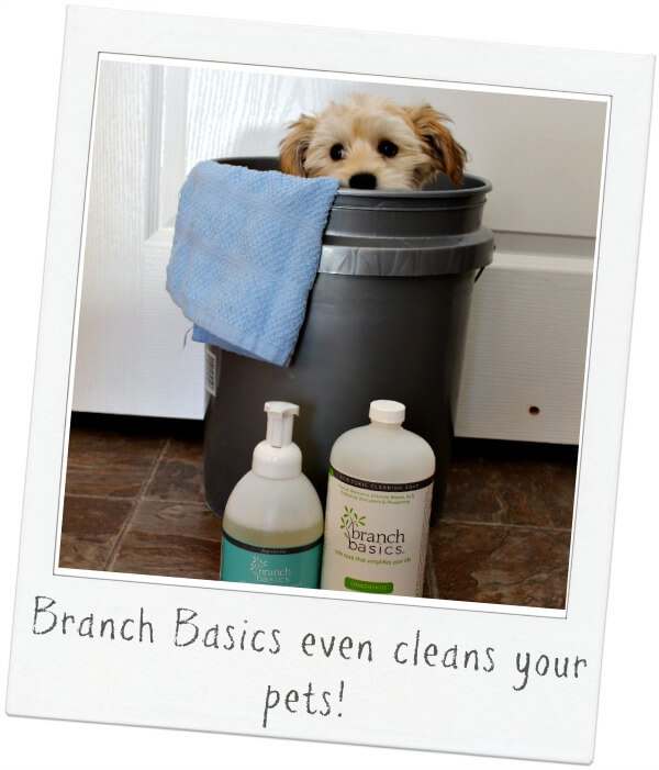 Branch Basics is great for pets!