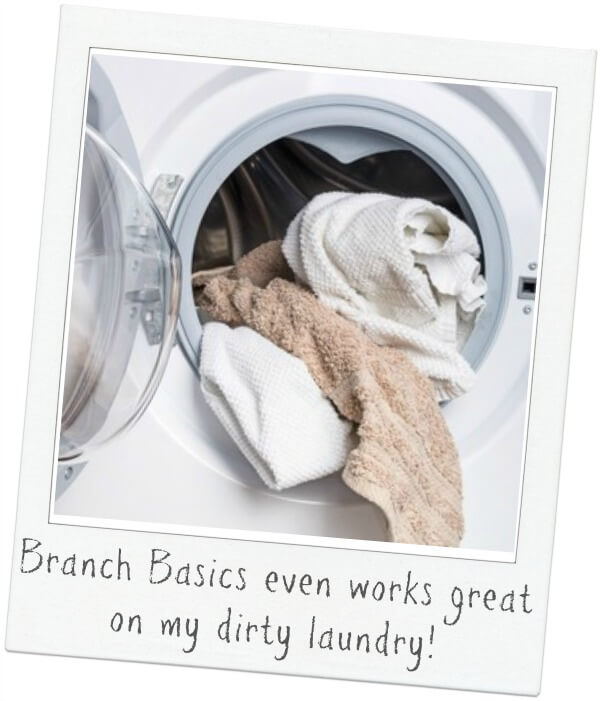 Branch Basics works great in your laundry!