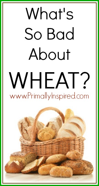 What's Wrong with Wheat PrimallyInspired.com
