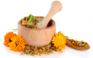 herbs