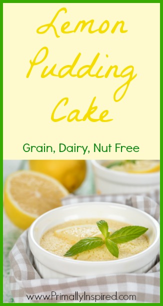 Lemon Pudding Cake (Grain, Dairy, Nut Free) - PrimallyInspired.com