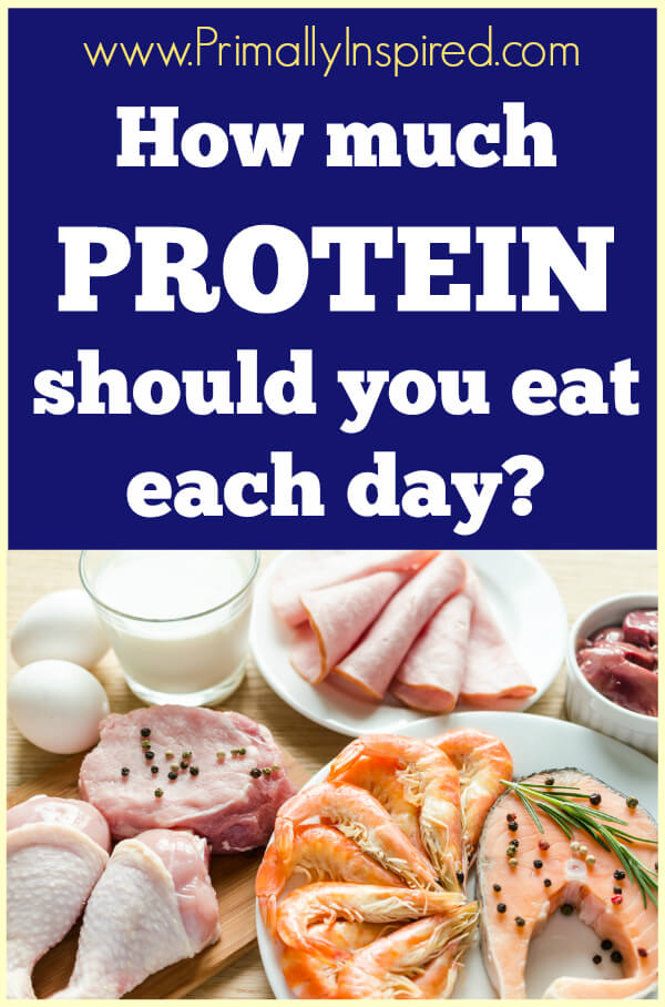 How Much Protein Should You Eat a Day www.PrimallyInspired.com