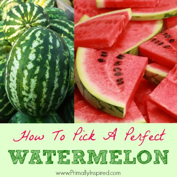 How to Pick a Watermelon from Primally Inspired