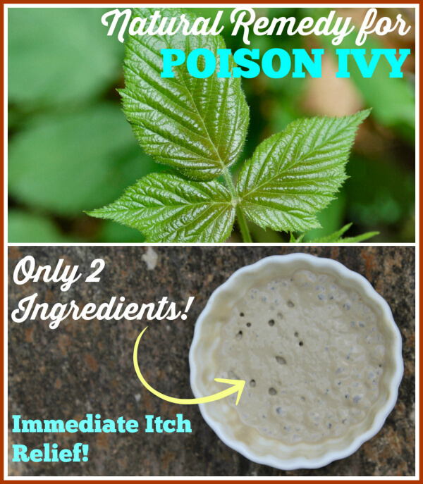 Get immediate relief from poison ivy with this 2 ingredient natural remedy for poison ivy! Works on bug bites, stings, and rashes, too!