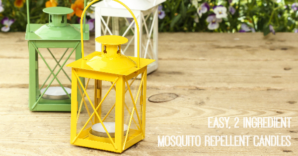 How to make easy mosquito repellent candles that repel mosquitoes, gnats and all other bugs - this is so simple and doable and all natural!