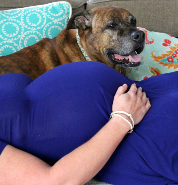 Maternity with dog Picture