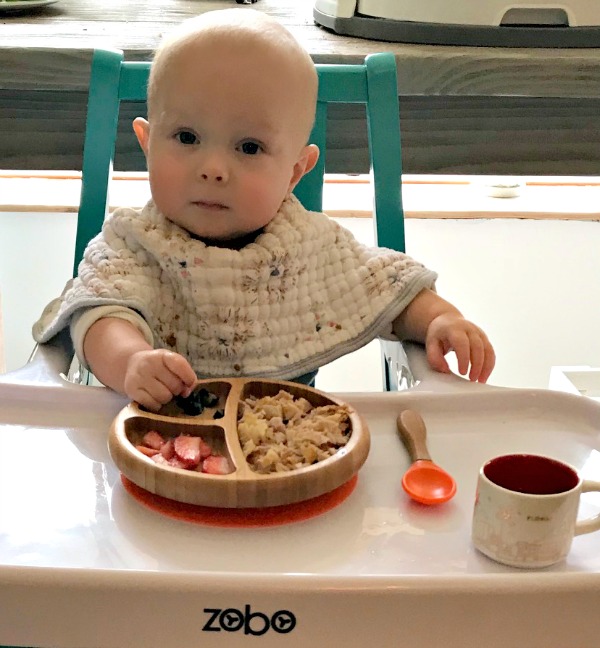 Baby Led Weaning How to and Baby's first foods