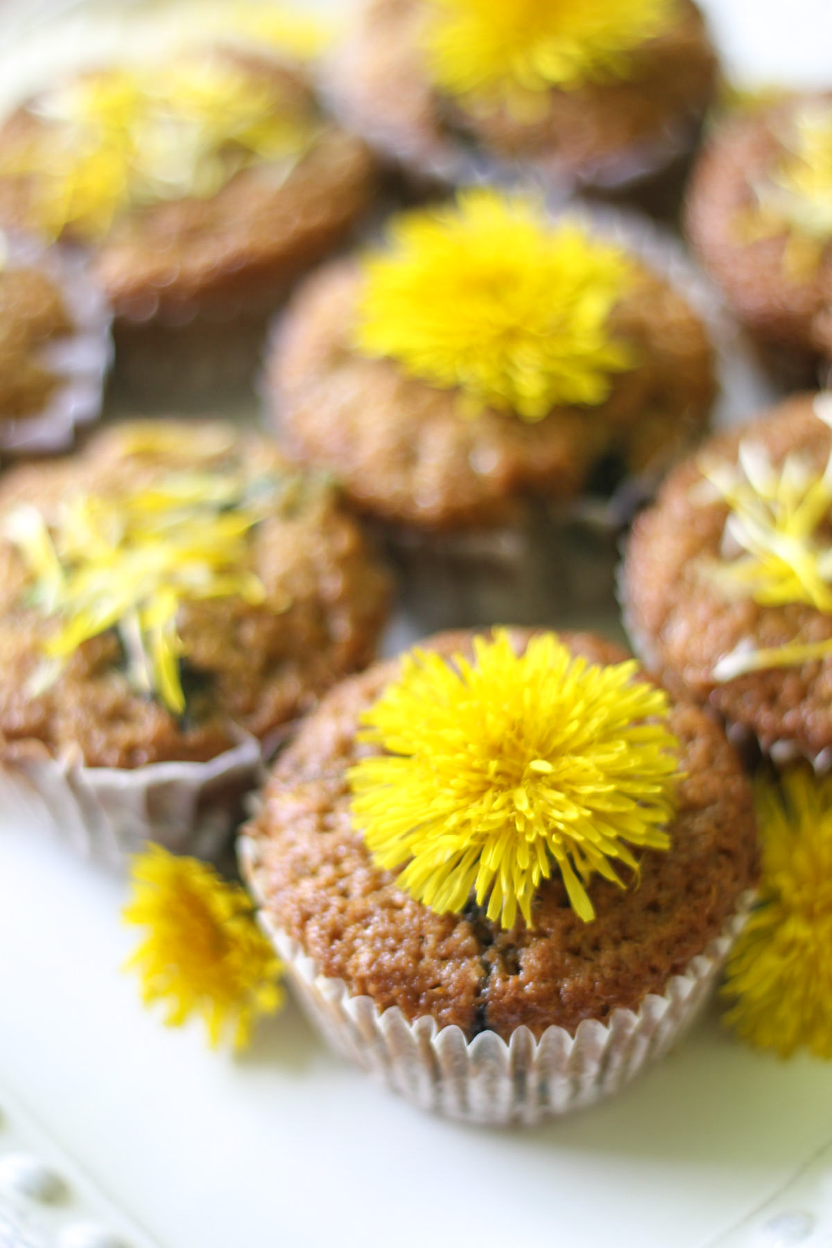 Gluten Free Dandelion Muffins Recipe