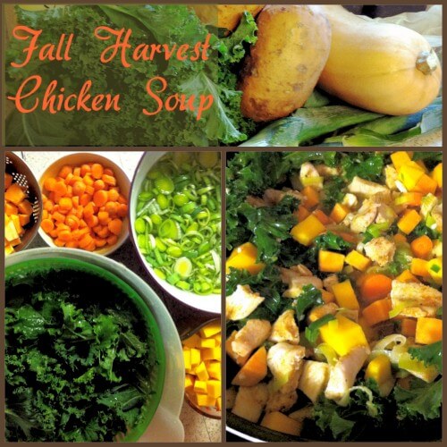 Fall Harvest Chicken Soup