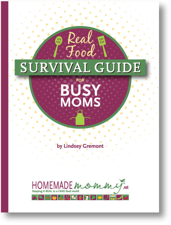 Book Review: Real Food Survival Guide For Busy Moms