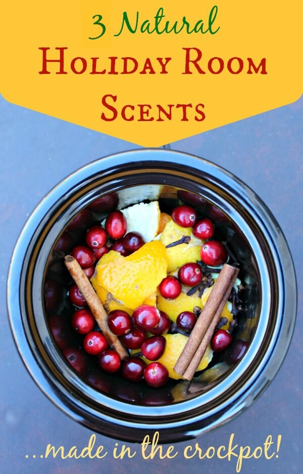 https://www.primallyinspired.com/wp-content/uploads/2013/11/natural-holiday-room-scents-made-in-crockpot1.jpg