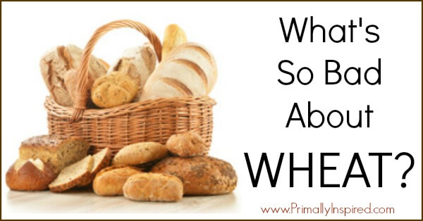 What's Wrong with Wheat | PrimallyInspired.com