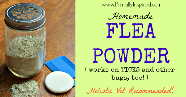 Homemade Flea Powder - Primally Inspired