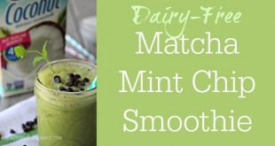 Dairy-Free Matcha Mint Chip Frappé Recipe - No Refined Sugar Smoothie | Primally Inspired