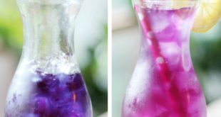 Color Changing Butterfly Pea Flower Lemonade recipe