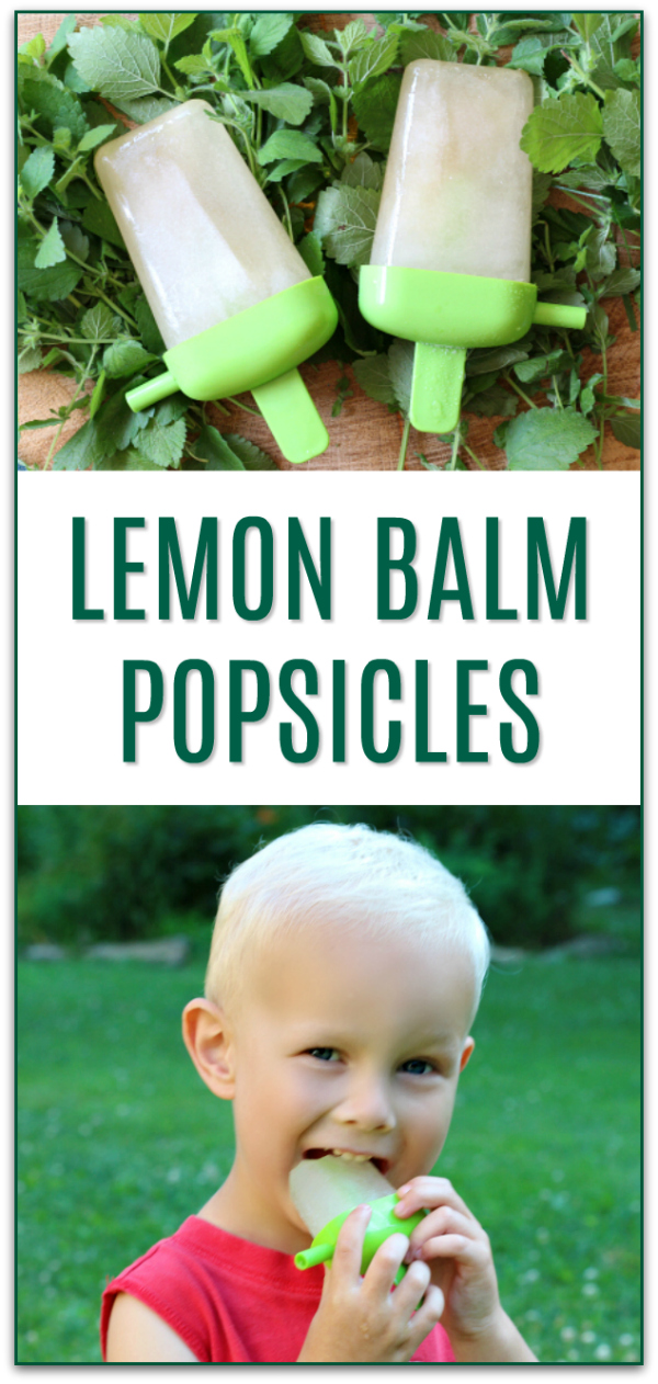 Lemon Balm Popsicles Recipe with honey