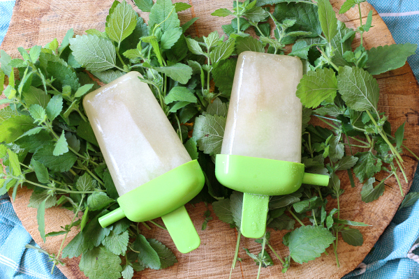 Lemon Balm Popsicles Recipe with honey