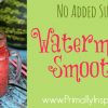Watermelon Smoothie from Primally Inspired (No added sugar!)
