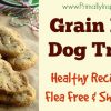 Homemade Gluten Free Dog Treats Recipe for flea free and shiny coat from Primally Inspired