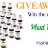Plant Therapy Esssential Oils Giveaway